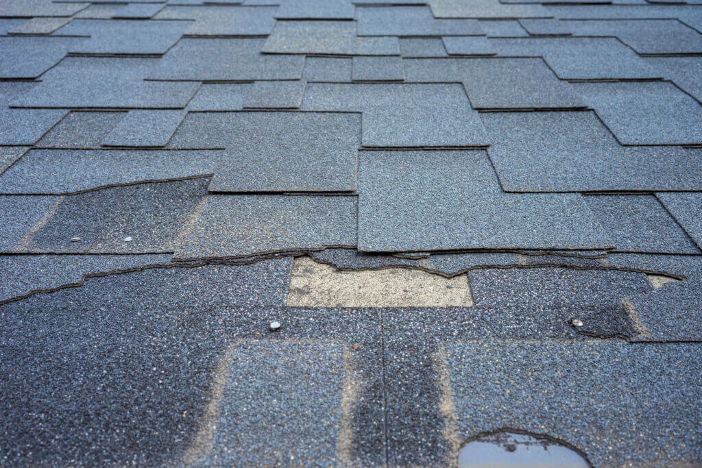 roof repair in 19006